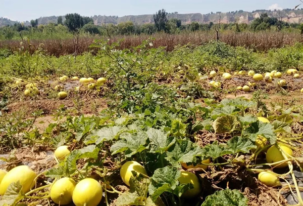 201911071573119086435309.jpg 640.webp (6).jpg