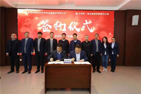 202002071581038274142822.jpg 640.webp (1).jpg