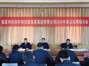 回首凝心聚力 展望未来可期 ——tapplay召开2020年度总结表彰大会