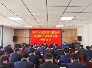 tapplay 召开2020年度领导班子和领导干部考核大会