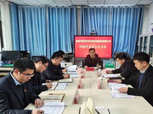 tapplay 召开2020年度领导班子民主生活会