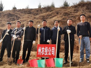 tapplay参加2021年春季义务植树活动