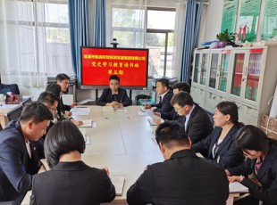 tapplay  举办党史学习教育第五期读书班