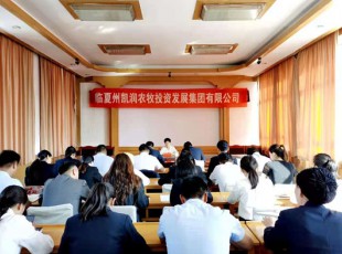 tapplay  召开党史学习教育专题辅导