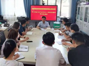 tapplay 召开学习贯彻习近平总书记七一重要讲话精神 研讨交流会