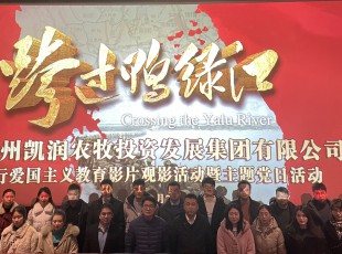 “忆峥嵘岁月，强使命担当”tapplay组织开展爱国主义观影活动暨主题党日活动