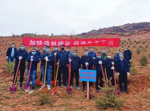 tapplay参加2022年春季义务植树活动